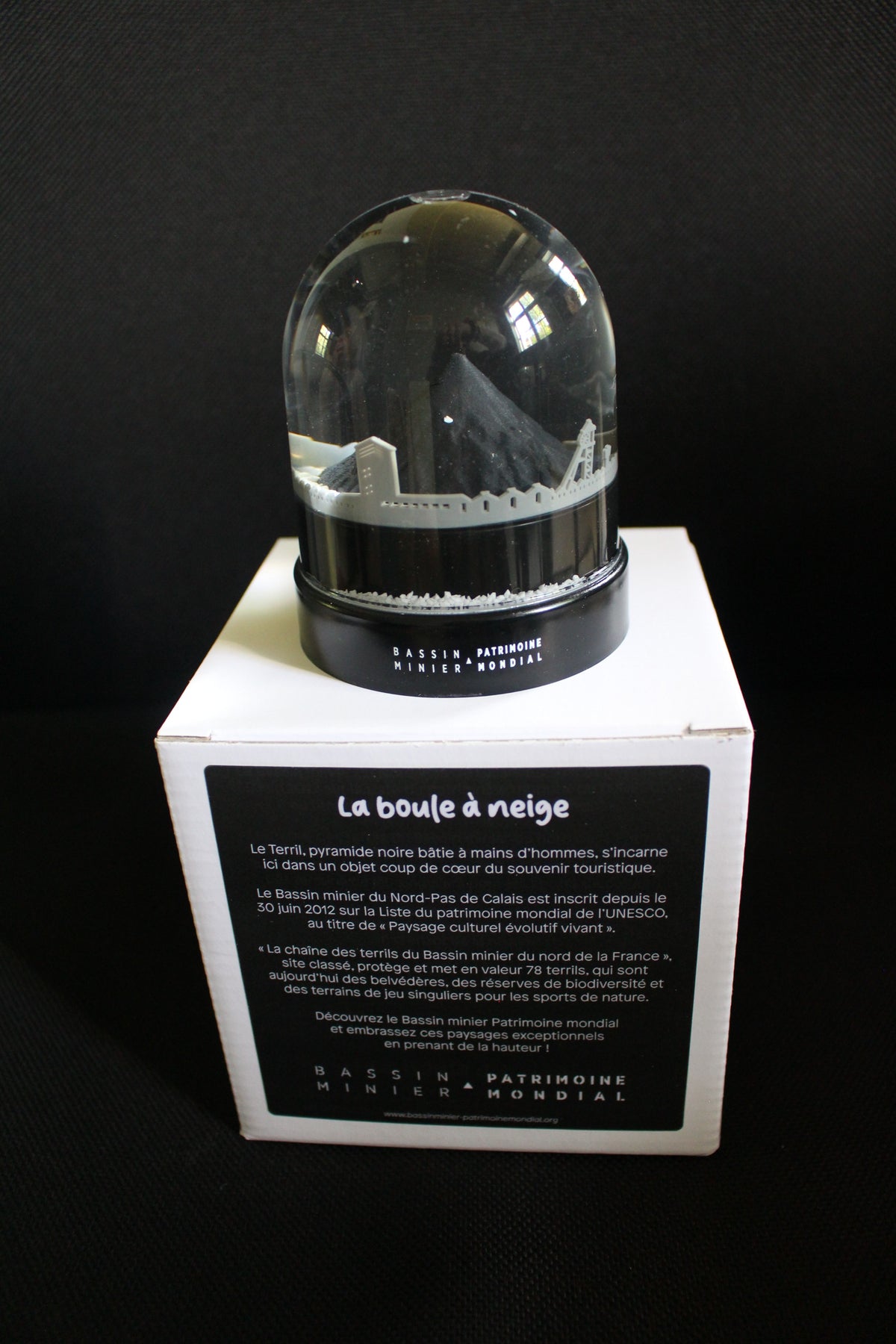 Boule à neige iconique